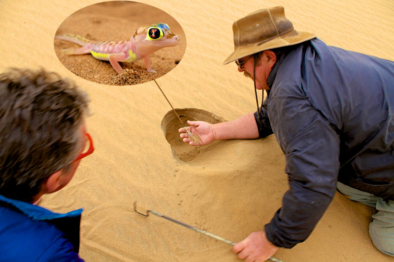 Namibia